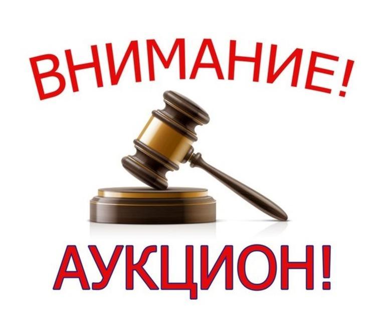 Внимание АУКЦИОН!.